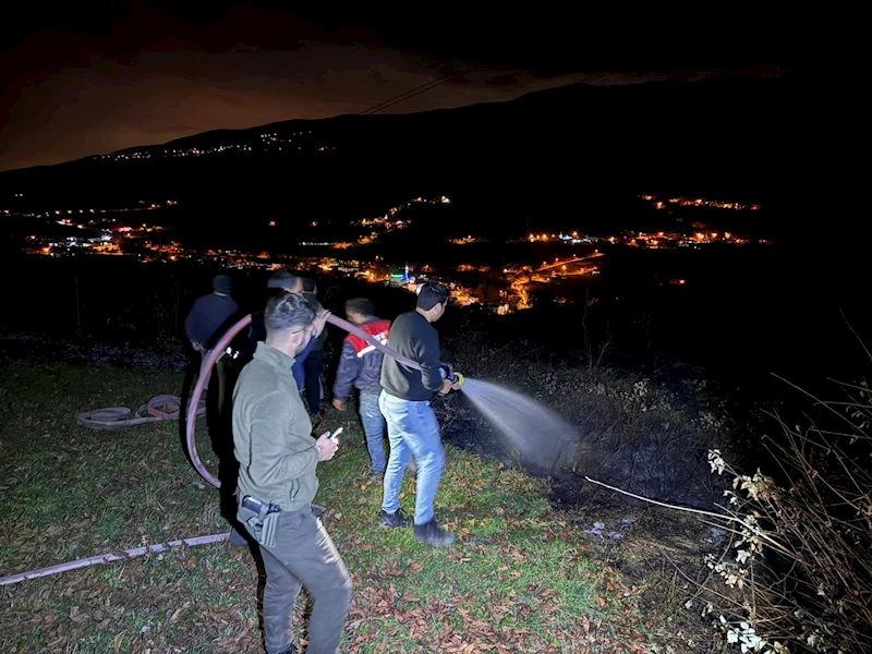 Anız yangınıyla yayılan alevler ormana sıçramadan söndürüldü