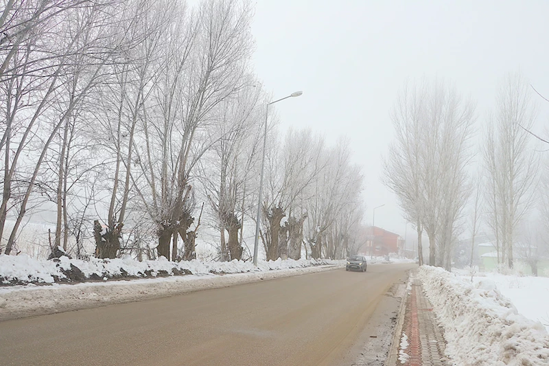 Bayburt