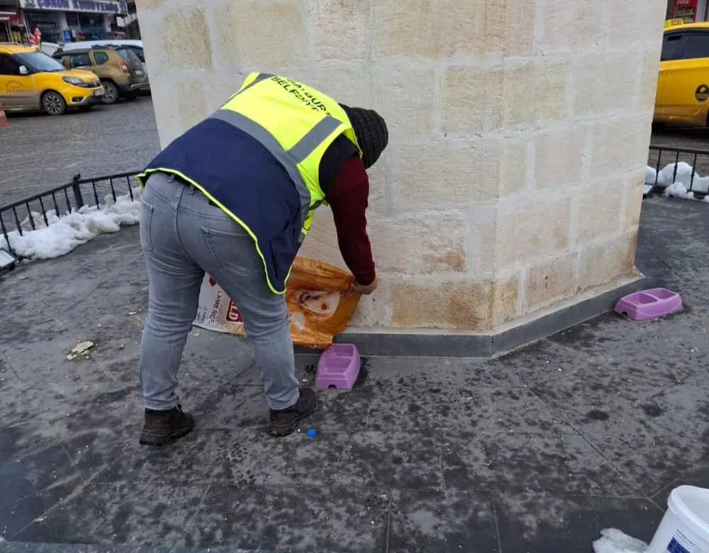 Bayburt Belediyesi, Sokak Hayvanları İçin Mama Yardımlarını Sürdürüyor