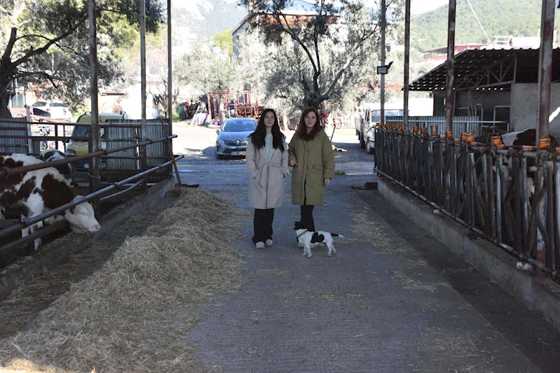 Üniversiteli kız kardeşler, devlet desteğiyle ata topraklarında hayvancılık yapıyor / Ek fotoğraflar