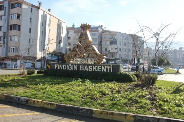 Giresun’da Kavşaklar ve Parklar Fındık Ağaçlarıyla Donatılıyor