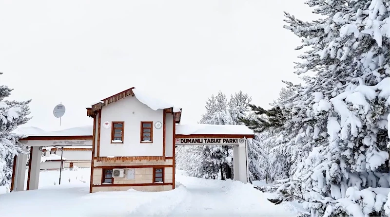 Dumanlı Tabiat Parkı