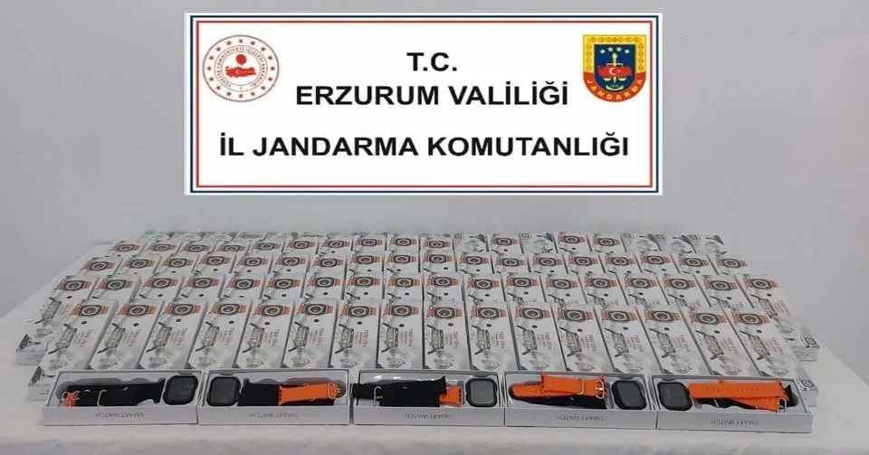 Erzurum Valiliği