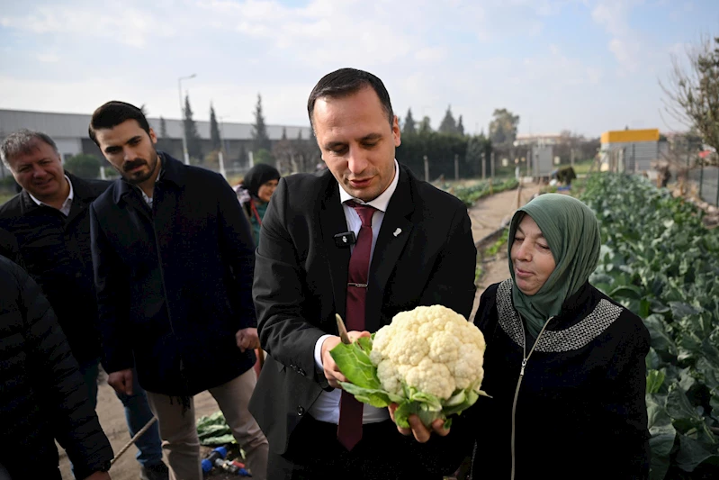 Kent Bostanı, kadınların elinde yeşerdi