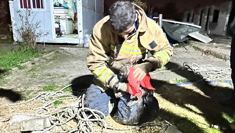 Hatay’da 17 metrelik kuyuya düşen yavru köpek kurtarıldı 