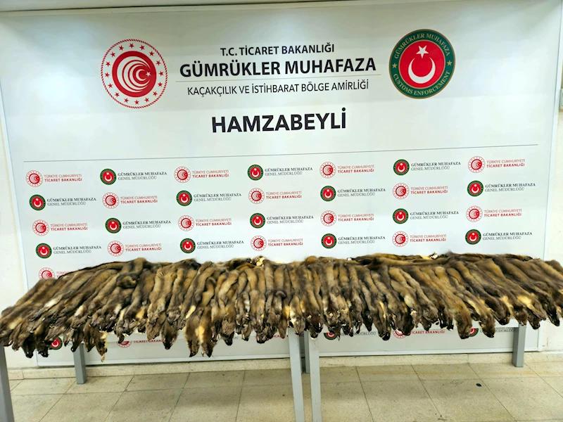 Hamzabeyli Sınır Kapısı