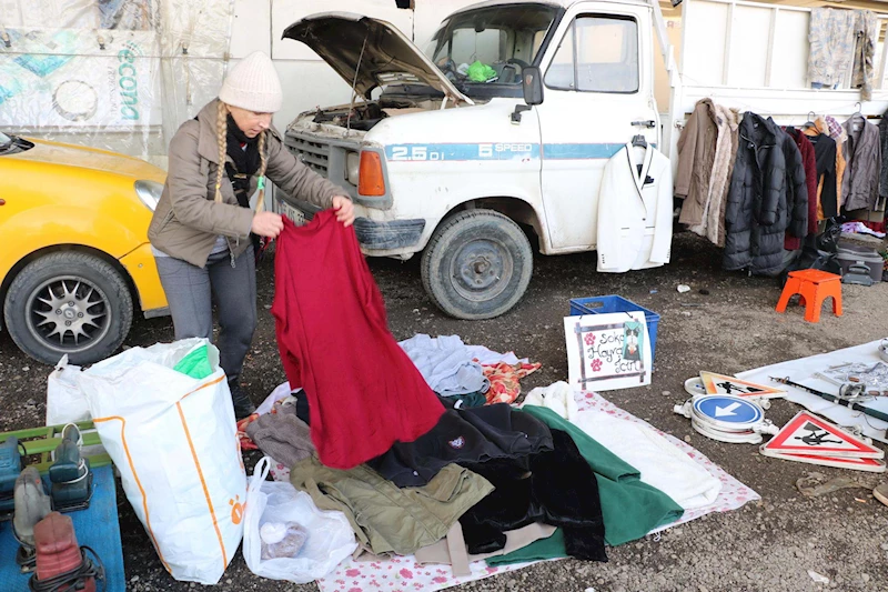 Yavru kedi hayatını değiştirdi; sokaktaki canlar için ikinci el eşya satıyor