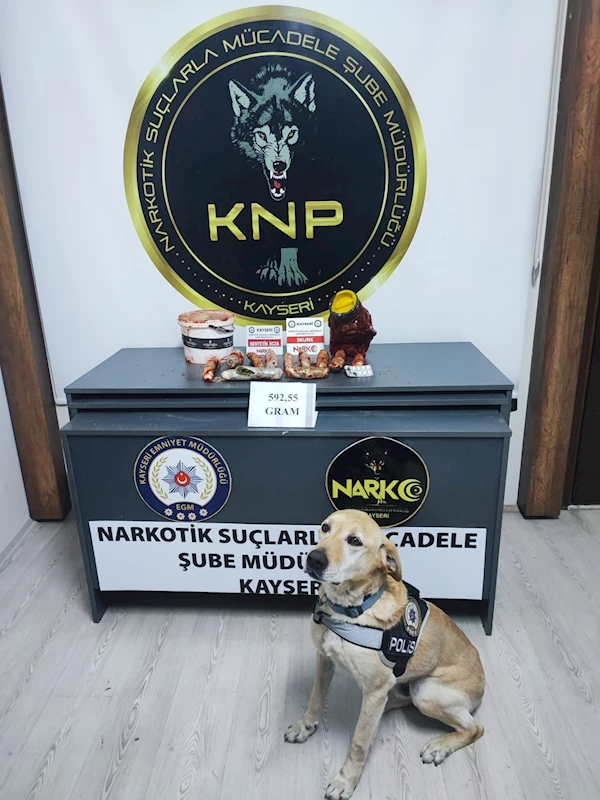 Salça bidonundaki uyuşturucu narkotik köpeği Jack buldu