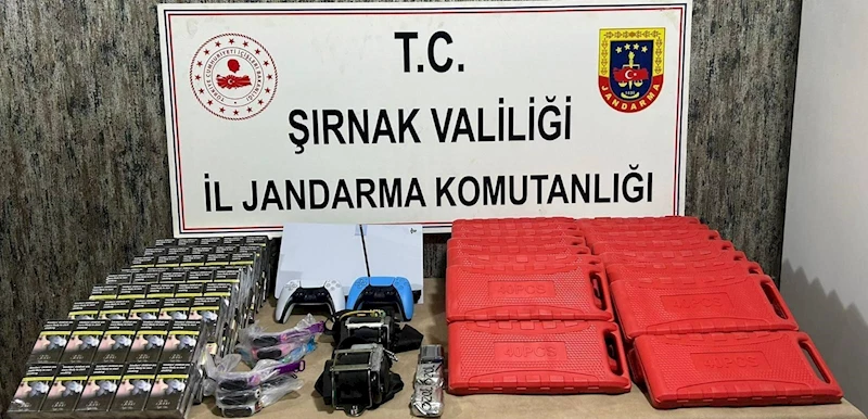 Şırnak’ta kaçakçılık operasyonlarında 2 tutuklama