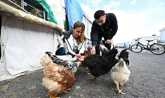 Hayvan sevgisini konteyner kente taşıdılar