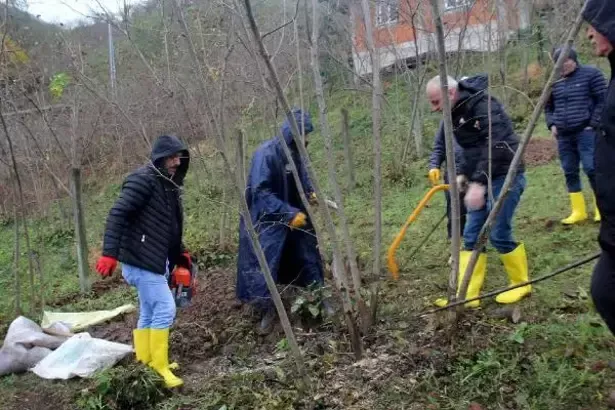 ‘Fındık bahçeleri ve üreticiler yaşlanıyor’