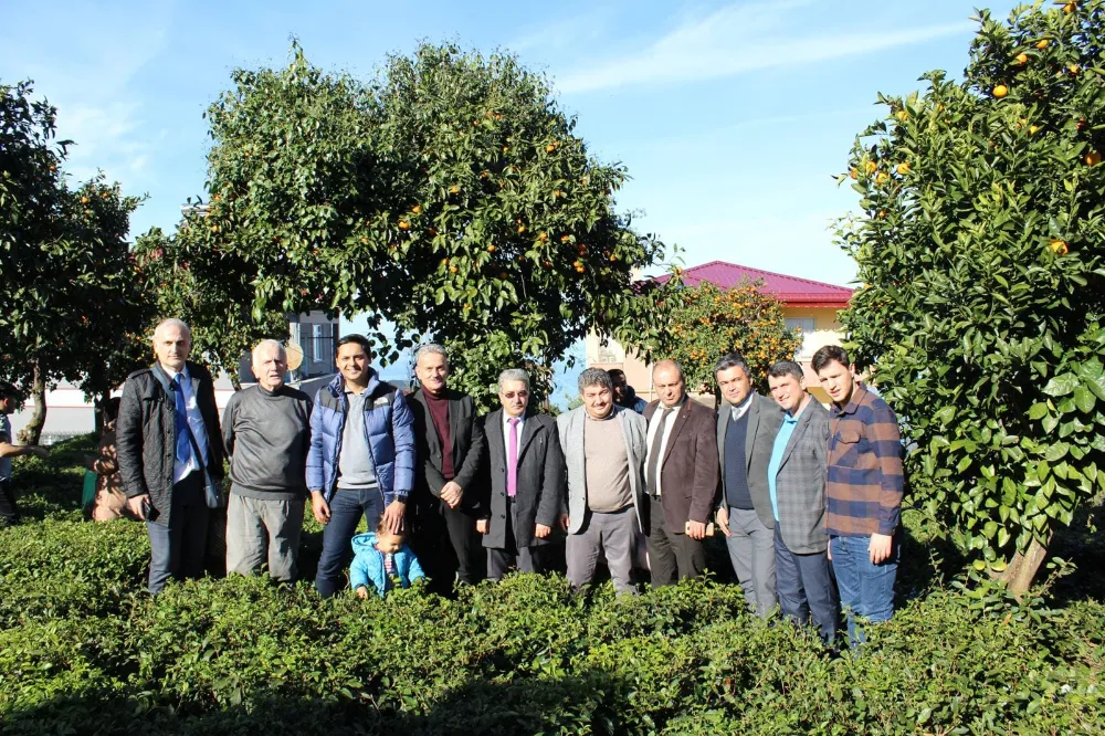 Derepazarı Kaymakamlığından mandalina toplama etkinliği