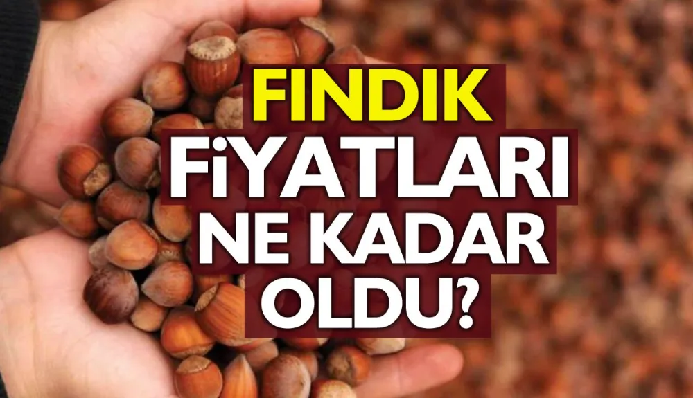 Fındık fiyatları yükseldi mi? (9 Şubat 2024)