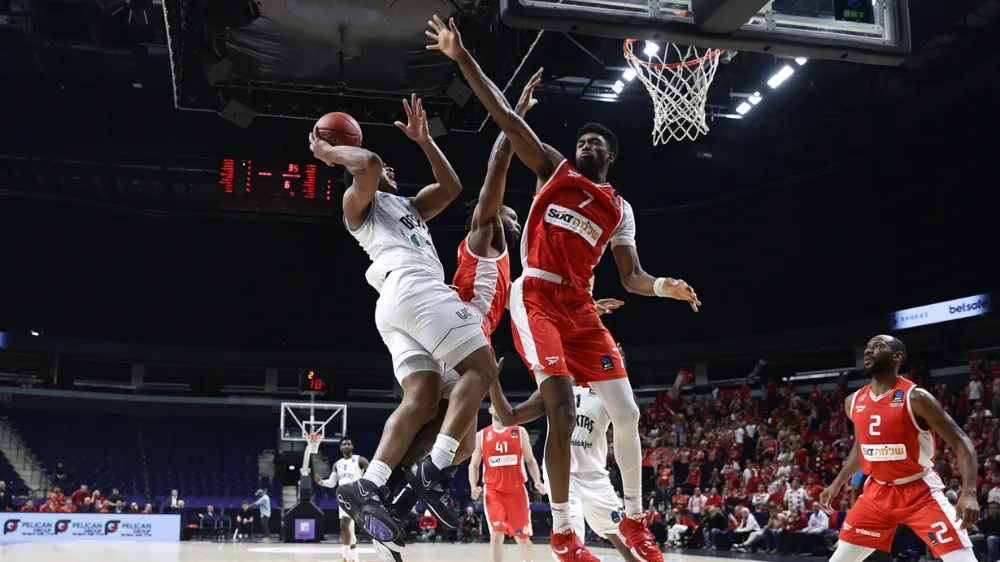 Beşiktaş Emlakjet, Eurocup