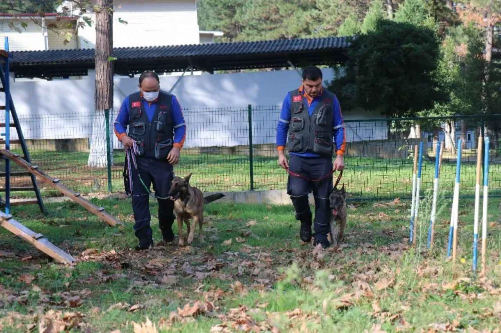 AFAD, Rize K9 ekiplerine kurtarma köpeği eğitimi verdi