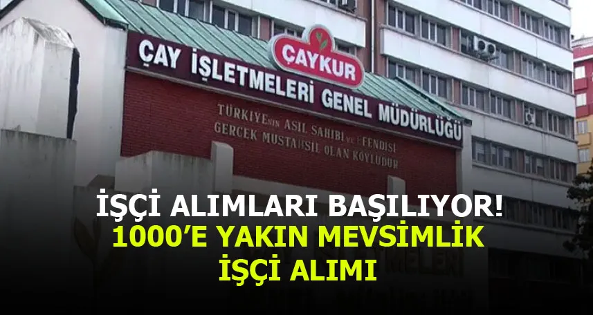 ÇAYKUR 2024 ‘de 1000’e Yakın Mevsimlik İşçi Alacak