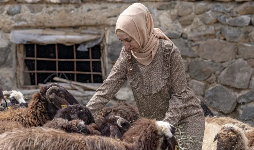 Gurbetten köyüne dönen kadın devlet desteğiyle sürü sahibi oldu