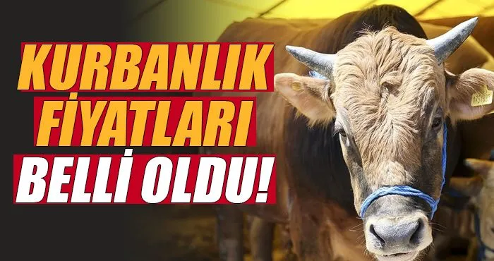 Küçük ve Büyükbaş kurbanlık fiyatları belli oldu!