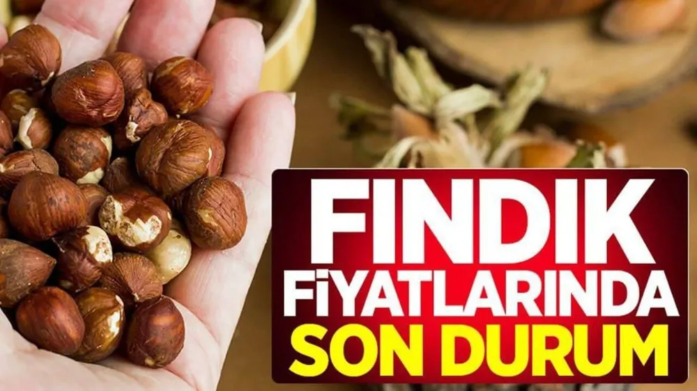 5 Nisan FINDIK FİYATLARI: Fındık bugün ne kadar?