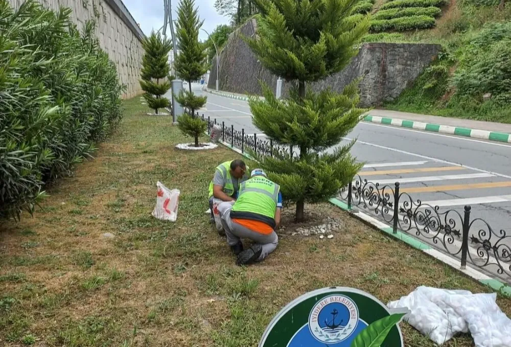 İyidere Belediyesi çevre düzenlemelerine devam ediyor