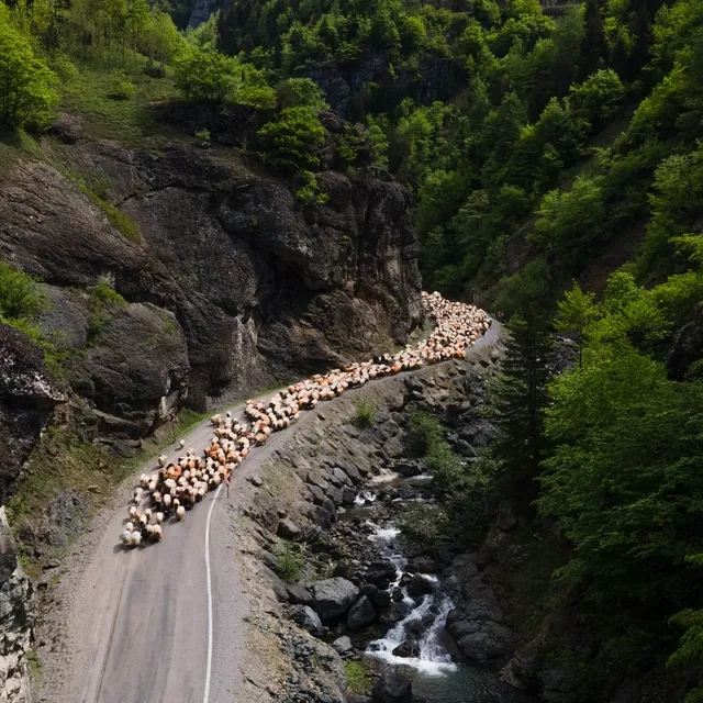 Doğu Karadeniz