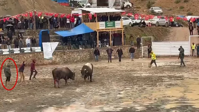 Arenada rakibinden kaçan boğa hakeme çarpıp, üzerinden geçti; o anlar kamerada