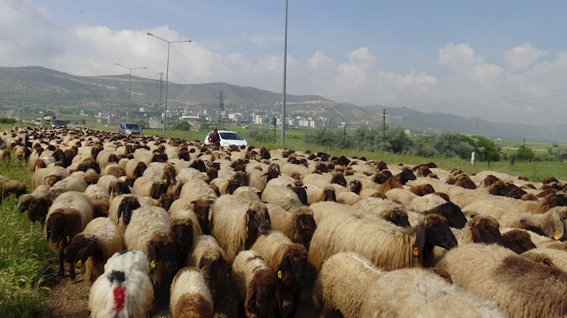 Batman’da göçerlerin zorlu yayla yolculuğu başladı