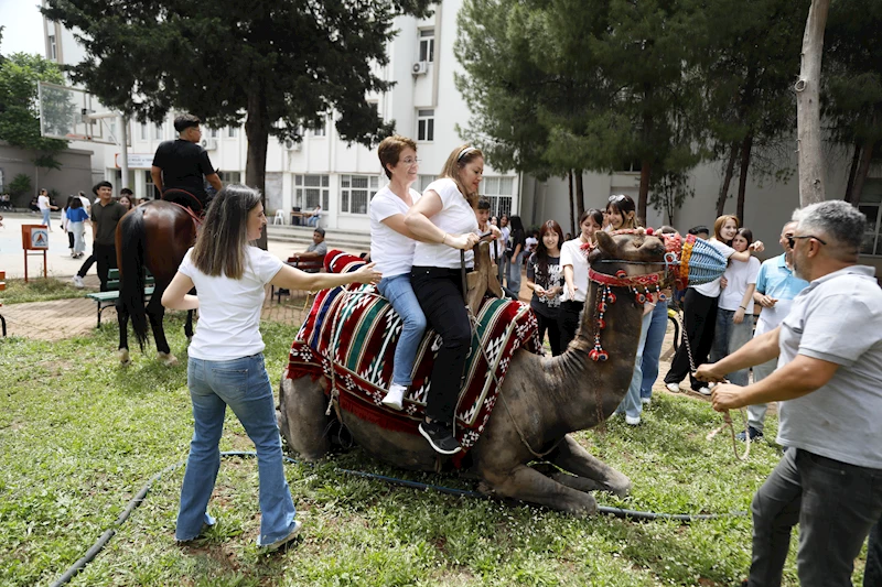 Öğretmenlerin deve sınavı 