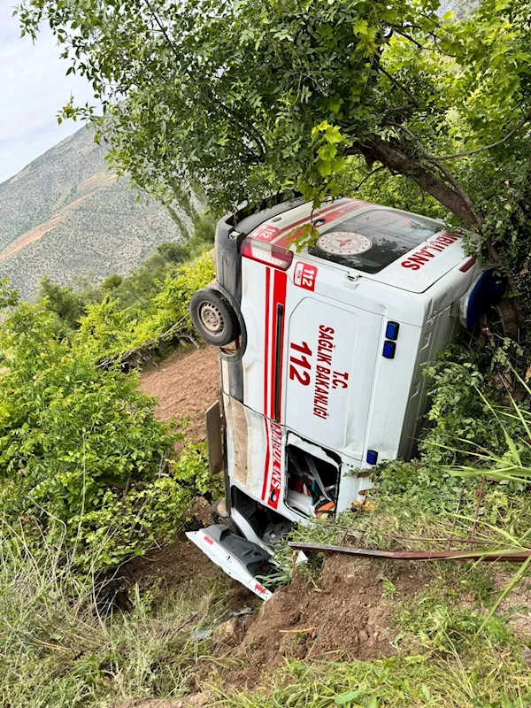 Siirt’te hasta almaya giden ambulans, 4 metre yükseklikten üzüm bahçesine düştü