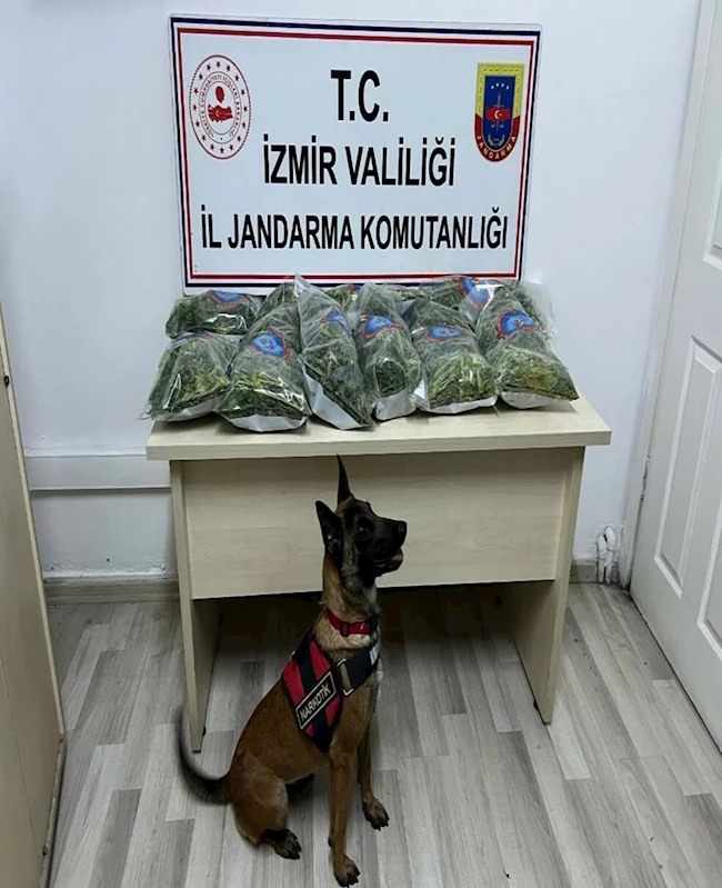 10 kilo uyuşturucuyu narkotik köpeği 
