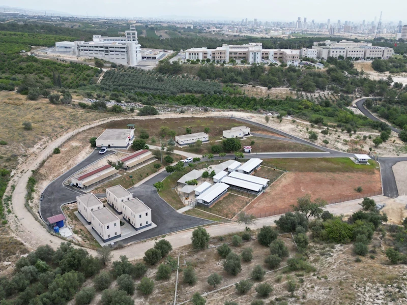 Yenişehir Belediyesi sokak hayvanları için 15 bin metrekarelik bakımevi oluşturdu