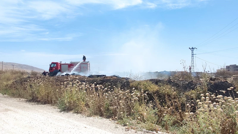 Elektrik akımına kapılan güvercin yangına neden oldu