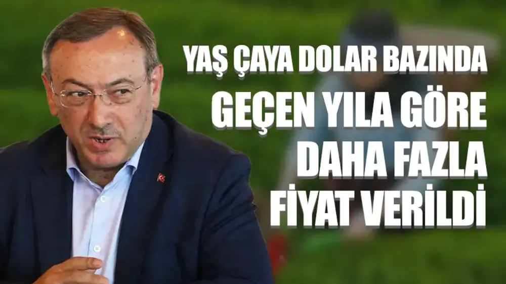 Yaş çaya dolar bazında geçen yıla göre daha fazla zam yapıldı