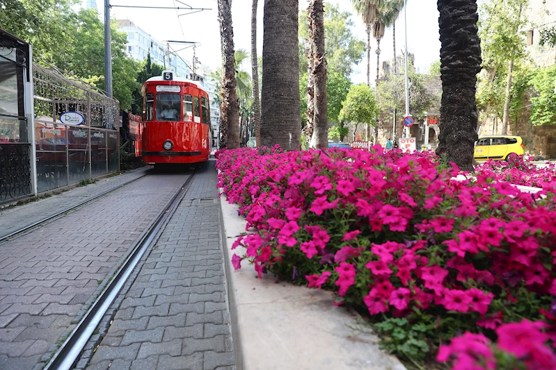 Antalya yazlık çiçeklerle renklenecek