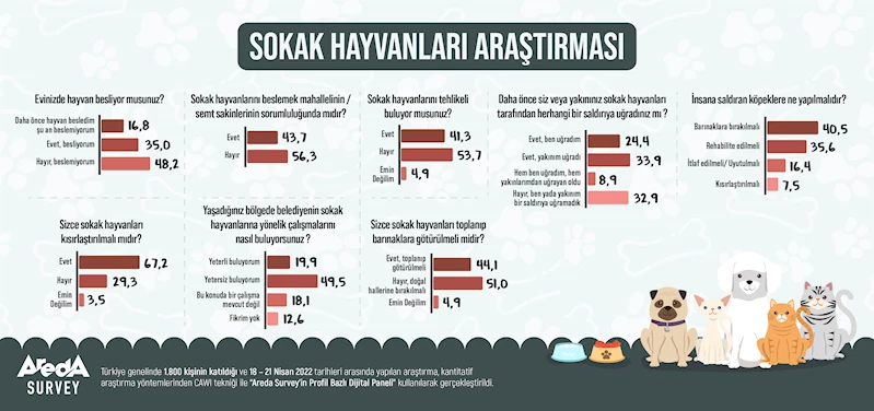 Sokak hayvanları araştırması: Yüzde 53,7 tehlikeli bulmuyor, çözüm kısırlaştırma