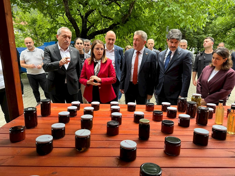 Bartın’da ‘Türk Mutfağı Haftası