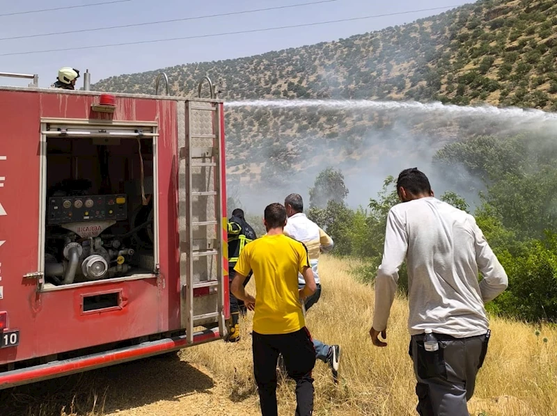 Nusaybin’de bahçede çıkan yangın, ormana sıçradı/ Ek fotoğraflar 