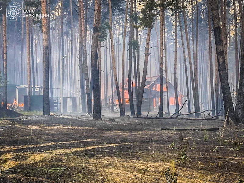 Harkiv’de bombardıman sonucu orman yangını