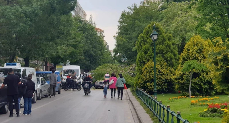 Ağacın kırılan dalı, kırmızı ışıkta bekleyen otomobilin üzerine düştü