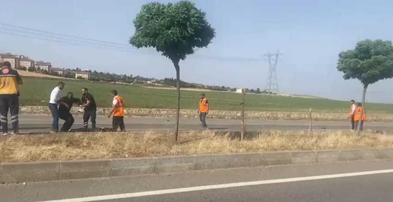 Yolun karşısına geçerken otomobil çarpan çoban, öldü