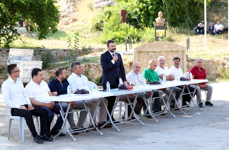 Esenli Üzüm Şenliği, Temmuz’da düzenlenecek