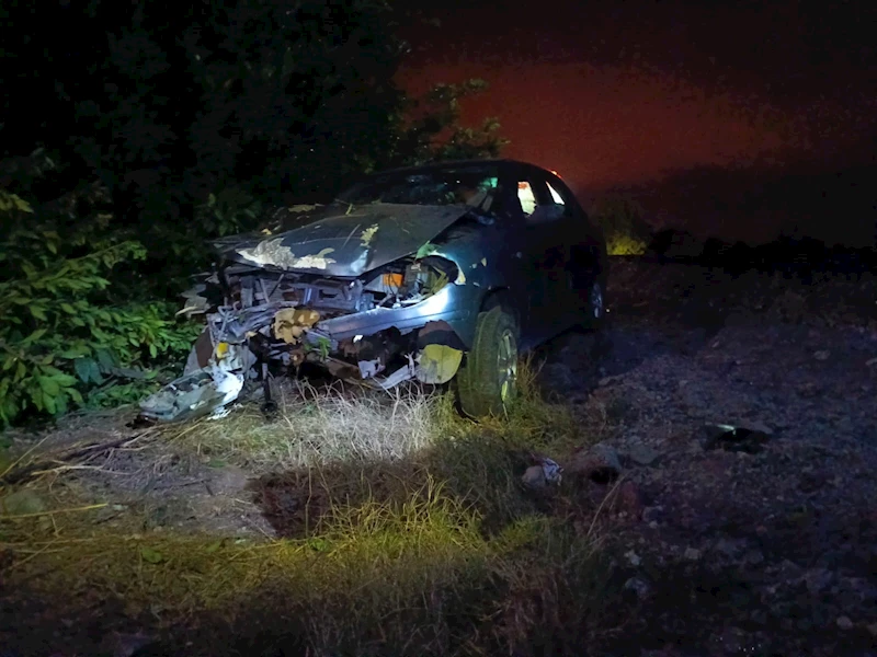 Kontrolden çıkan otomobil, portakal ağacına çarptı: 1 yaralı