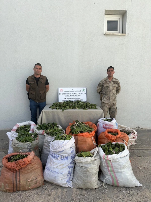 Hakkari soğanlarını İran