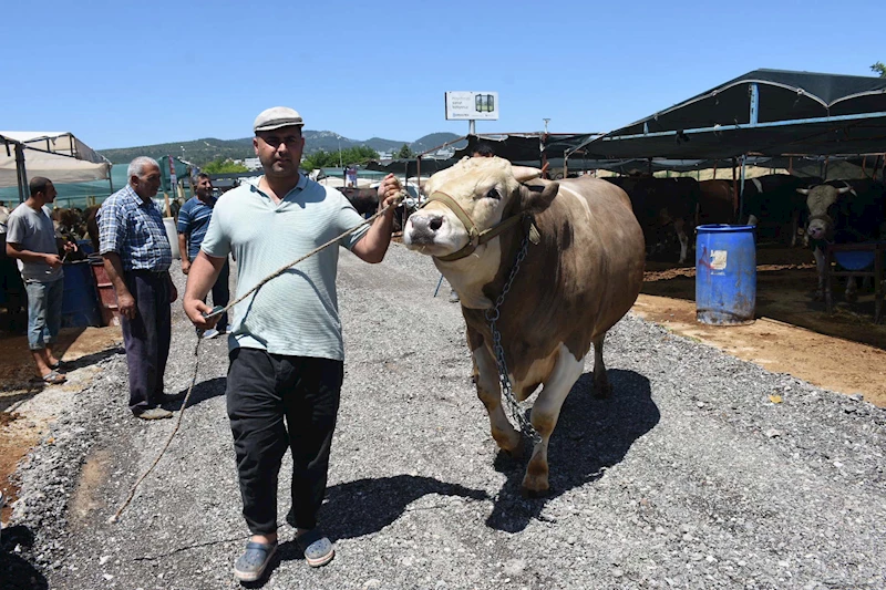 Kurban pazarının en büyüğü 