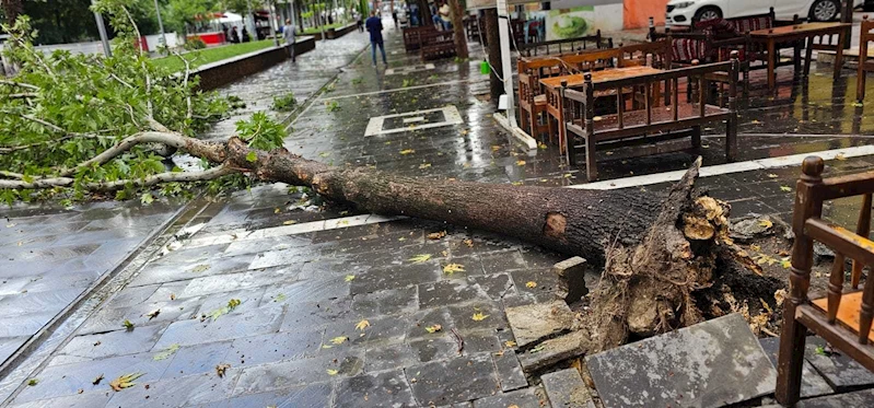 Mardin ve Batman’da kuvvetli fırtınada ağaçlar devrildi; o anlar kamerada