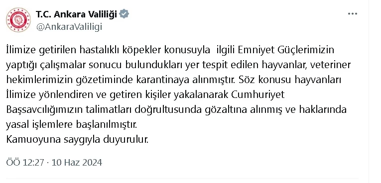 Ankara Valiliği, hasta köpeklerin kente getirildiği iddiası üzerine harekete geçti (2)