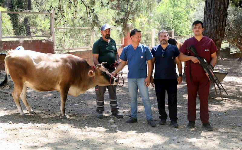 Antalya’da belediye bünyesinde 