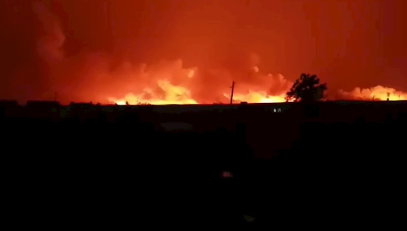 Şanlıurfa’da TİGEM arazisinde yangın 