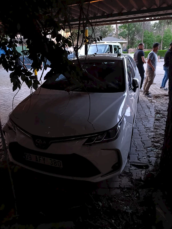 Mardin ve Batman’da kuvvetli fırtınada ağaçlar devrildi; o anlar kamerada (2)