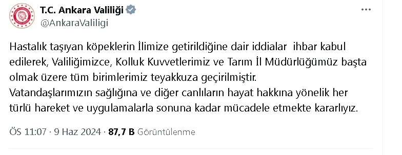 Ankara Valiliği, hasta köpeklerin kente getirildiği iddiası üzerine harekete geçti 